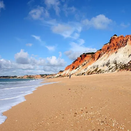 The Navigator - Olympus Marina Aparthotel 4*