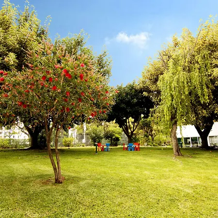 The Navigator - Olympus Marina ヴィラモウラ