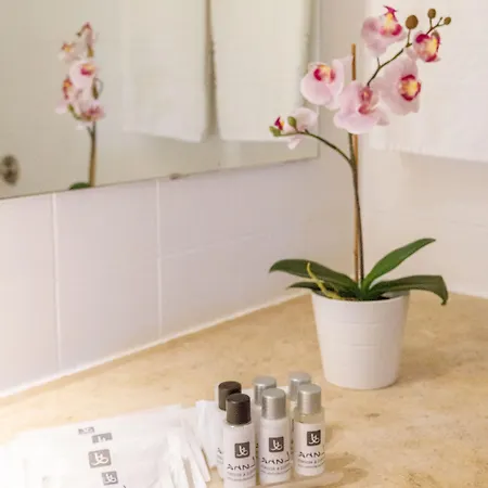 The Navigator - Olympus Marina