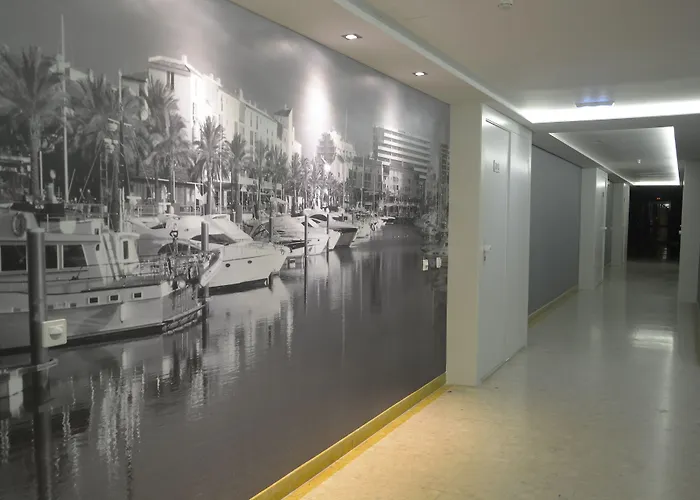 The Navigator - Olympus Marina