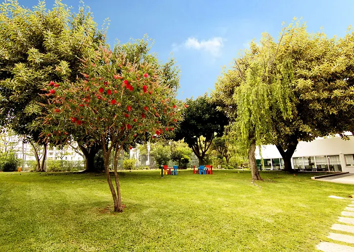 The Navigator - Olympus Marina 维拉摩拉